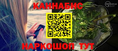 крисы Новозыбков