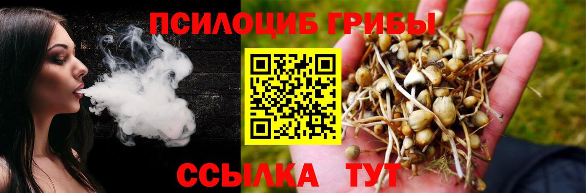 Галлюциногенные грибы ЛСД  Вход с VPN  Галлюциногенные грибы MAGIC MUSHROOMS  Будённовск 