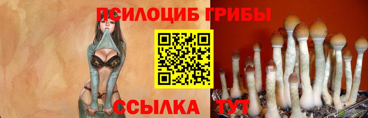 Псилоцибиновые грибы прущие грибы Будённовск